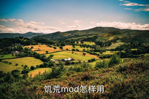 饥荒mod怎样用