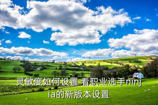 灵敏度如何设置 看职业选手ninjia的新版本设置