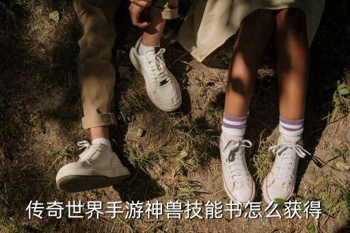 传奇世界手游神兽技能书怎么获得