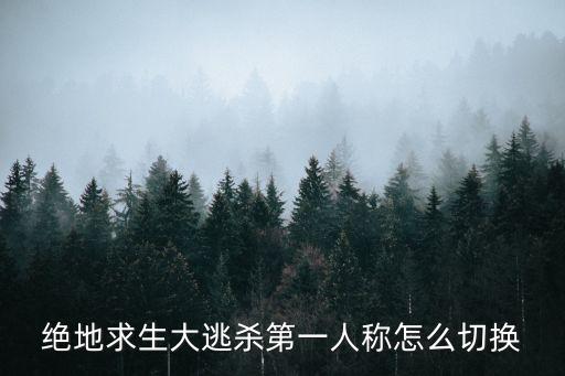 绝地求生大逃杀第一人称怎么切换