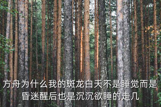 方舟为什么我的斑龙白天不是睡觉而是昏迷醒后也是沉沉欲睡的走几