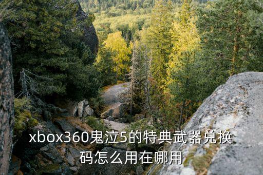 xbox360鬼泣5的特典武器兑换码怎么用在哪用