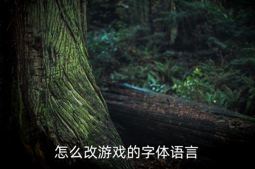 怎么改游戏的字体语言