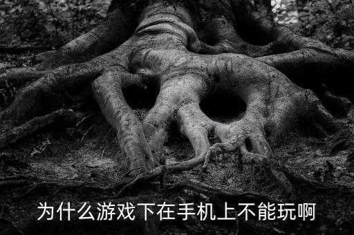 为什么游戏下在手机上不能玩啊