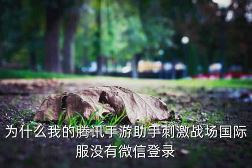 正版刺激战场国际服手游怎么登陆，dayz独立版怎么进游戏