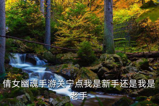 倩女幽魂手游关宁点我是新手还是我是老手