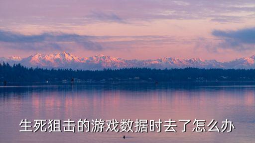生死狙击的游戏数据时去了怎么办