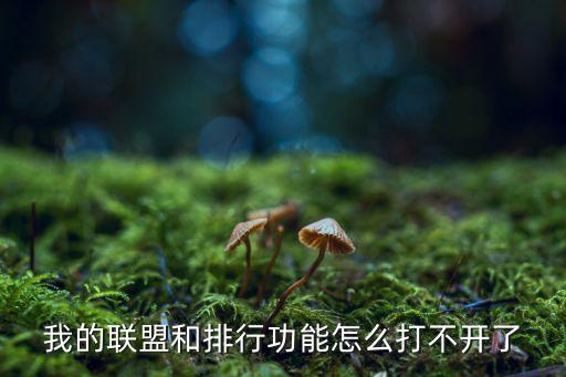 我的联盟和排行功能怎么打不开了