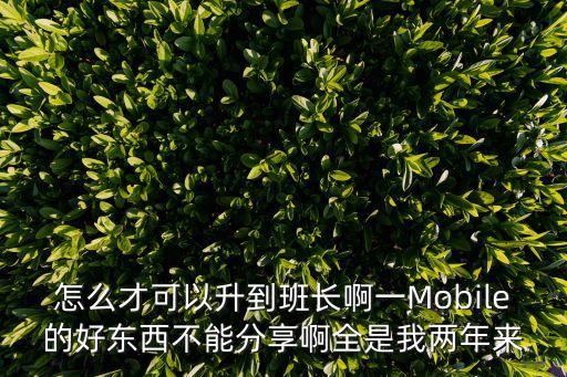 火影忍者ol手游班长怎么刷，怎么才可以升到班长啊一Mobile的好东西不能分享啊全是我两年来