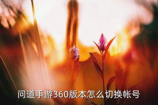 问道手游360版本怎么切换帐号