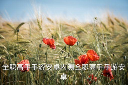 全职高手手游安卓内测全职高手手游安卓