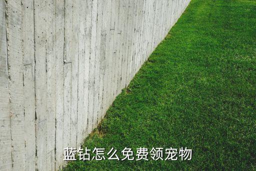 蓝钻怎么免费领宠物
