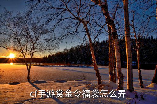 cf手游赏金令福袋怎么弄