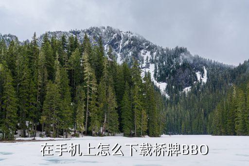 在手机上怎么下载桥牌BBO