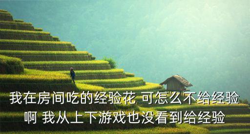 我在房间吃的经验花 可怎么不给经验啊 我从上下游戏也没看到给经验