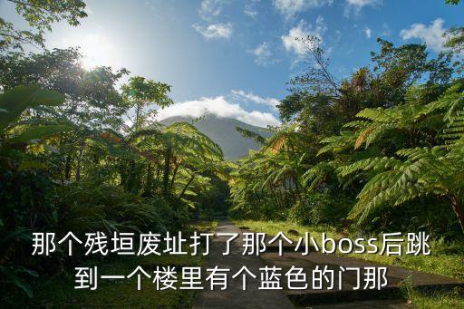 那个残垣废址打了那个小boss后跳到一个楼里有个蓝色的门那