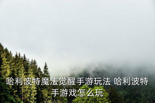 哈利波特魔法觉醒手游玩法 哈利波特手游戏怎么玩