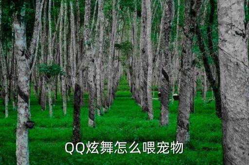 QQ炫舞怎么喂宠物