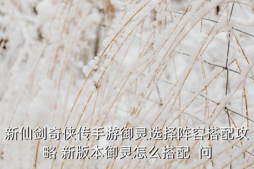 新仙剑奇侠传手游御灵选择阵容搭配攻略 新版本御灵怎么搭配 问
