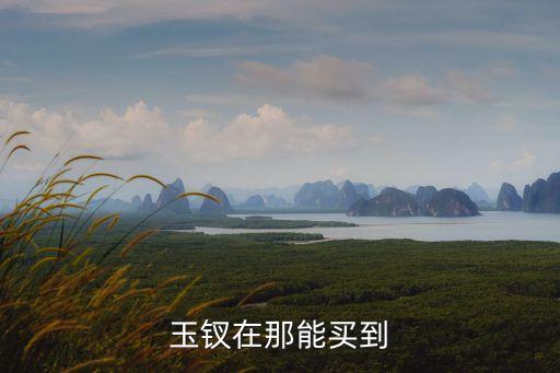 问道手游碧玉钗怎么买装备，玉钗在那能买到