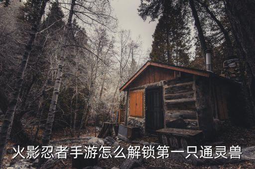火影忍者手游导师配音怎么弄，火影忍者手游声望怎么获得 最全声望获