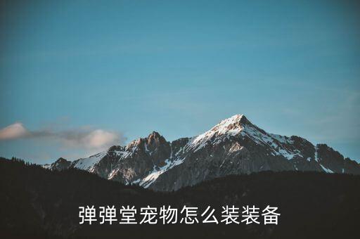 弹弹堂宠物怎么装装备