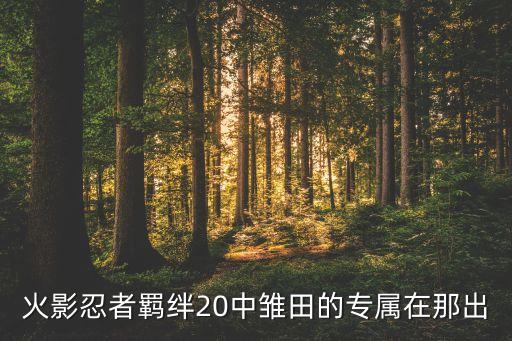 火影忍者羁绊20中雏田的专属在那出