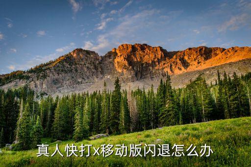 真人快打x移动版闪退怎么办
