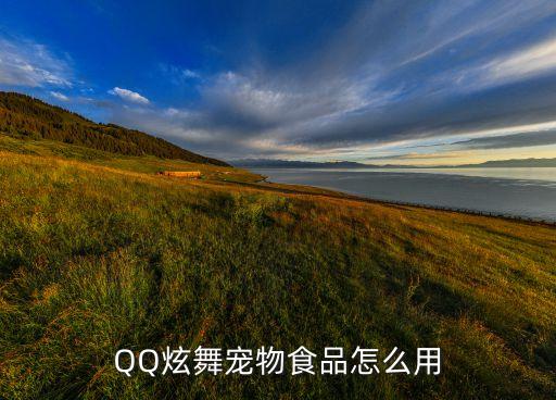 手游qq炫舞宝宝怎么喂零食，QQ炫舞宠物食品怎么用