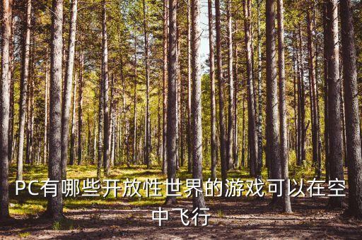 PC有哪些开放性世界的游戏可以在空中飞行