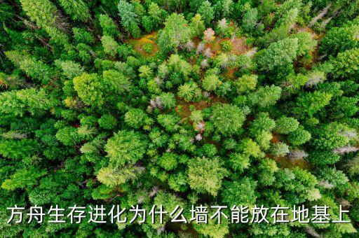 方舟生存进化为什么墙不能放在地基上