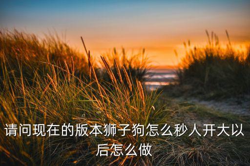 请问现在的版本狮子狗怎么秒人开大以后怎么做