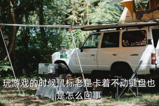 玩游戏的时候鼠标老是卡着不动键盘也是怎么回事