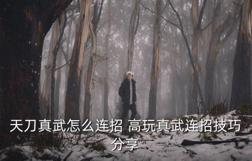 天刀真武怎么连招 高玩真武连招技巧分享