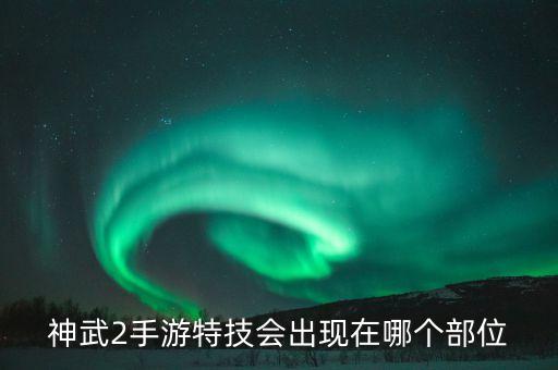 神武2手游特技会出现在哪个部位