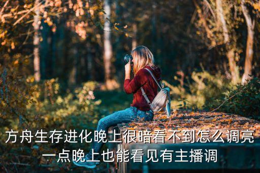 方舟生存进化晚上很暗看不到怎么调亮一点晚上也能看见有主播调