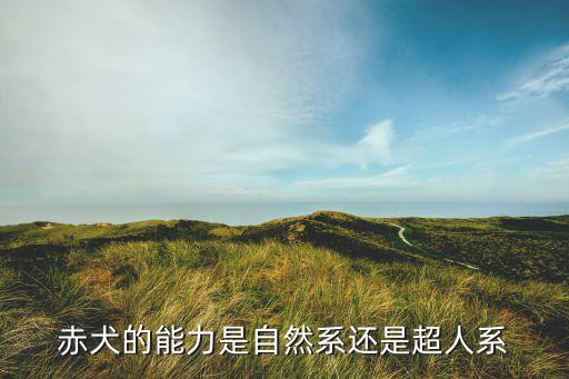 赤犬的能力是自然系还是超人系