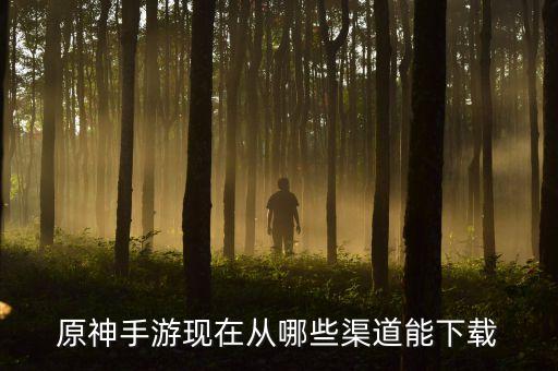 原神手游端怎么下载，原神手游现在从哪些渠道能下载