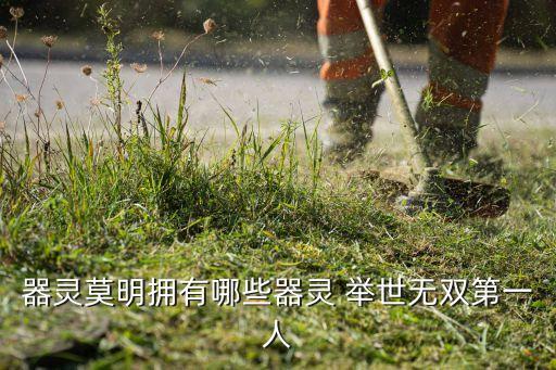 器灵莫明拥有哪些器灵 举世无双第一人