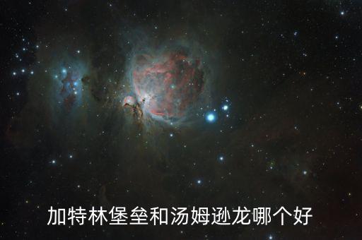 加特林堡垒和汤姆逊龙哪个好
