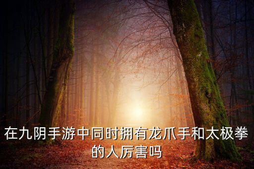 在九阴手游中同时拥有龙爪手和太极拳的人厉害吗