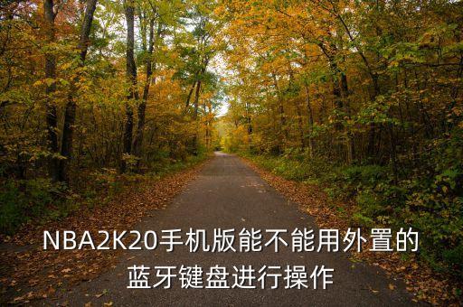 哈登2k20手游怎么玩，NBA2K20手机版能不能用外置的蓝牙键盘进行操作