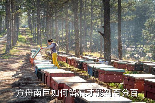 方舟手游怎么让南巨圣诞，方舟南巨如何留痕才能到百分百