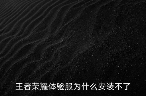 测试服手游怎么下载不了，王者荣耀体验服为什么安装不了