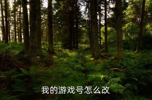 我的游戏号怎么改