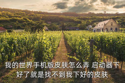 我的世界手游皮肤怎么搜索，我的世界手机皮肤怎么在游戏里显现不出来呢求大师神回答啊 跪求