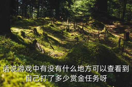 话说游戏中有没有什么地方可以查看到自己打了多少赏金任务呀