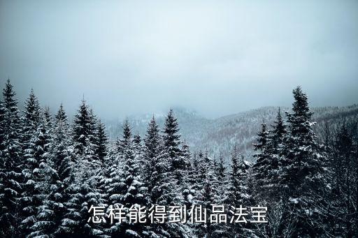 怎样能得到仙品法宝