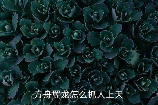 方舟手游翼龙怎么把人抓起来，方舟翼龙抓人哪个键