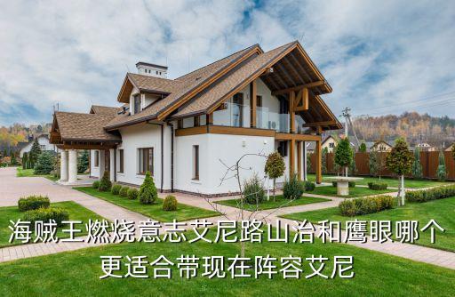 海贼王燃烧意志艾尼路山治和鹰眼哪个更适合带现在阵容艾尼